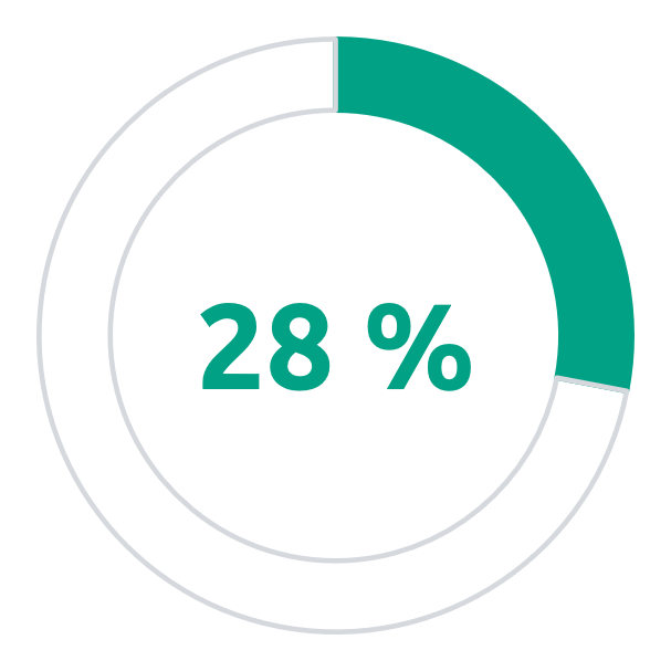 28 %