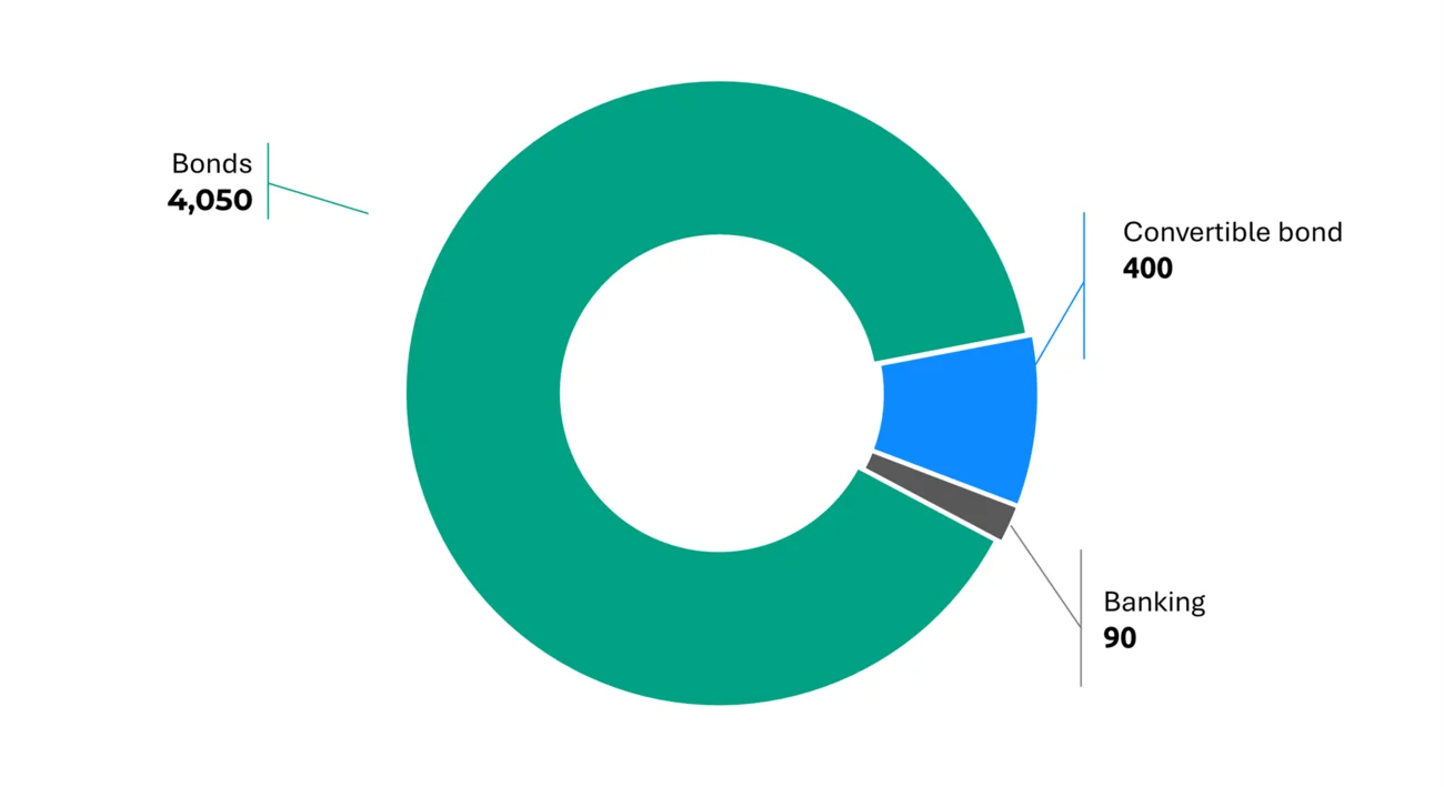 Breakdown by type of debt 2025