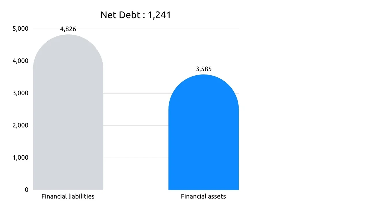 Breakdown of net debt 2025 (liabilities and assets)